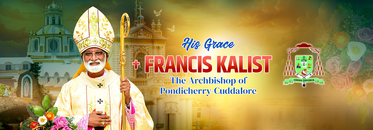 NewPope-websiteHeader-6